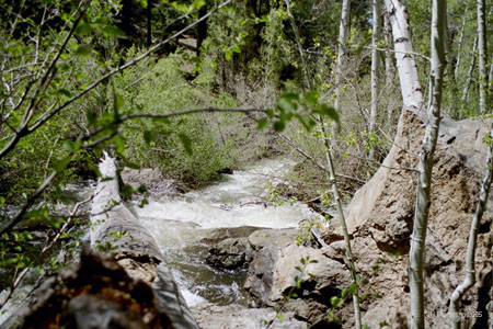 mammoth_creek