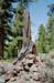 stone_tree