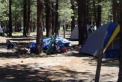Mammoth Lakes tent camping site